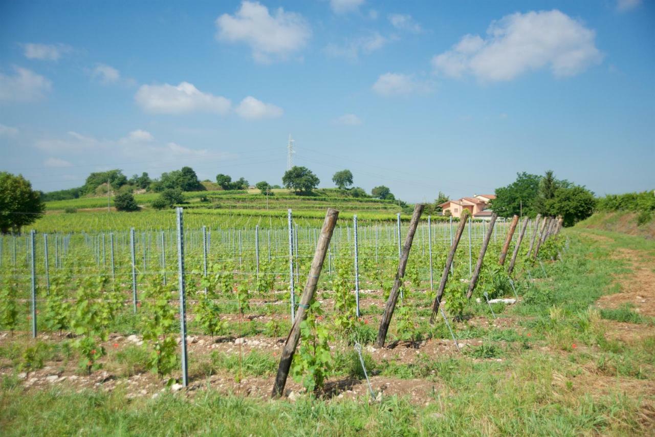 Agriturismo Albarello Sona Exterior foto