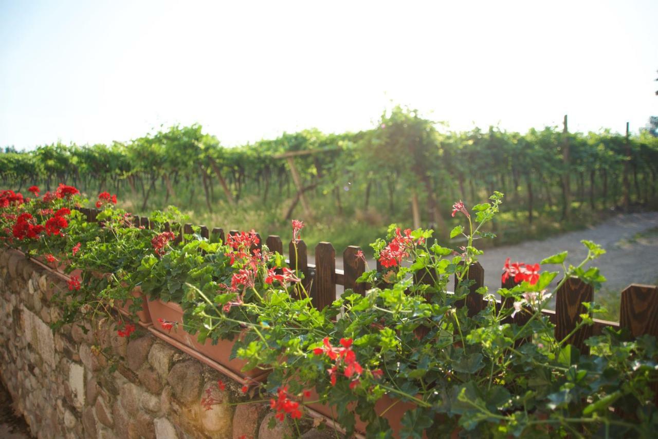 Agriturismo Albarello Sona Exterior foto